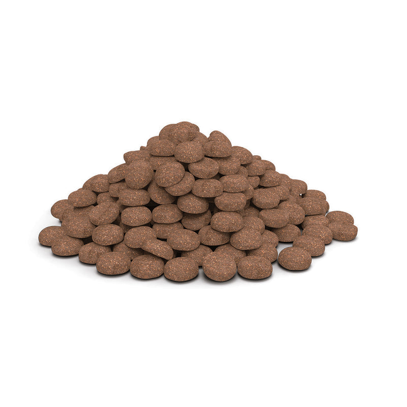 Veterinary HPM™ Dog Junior Special Large